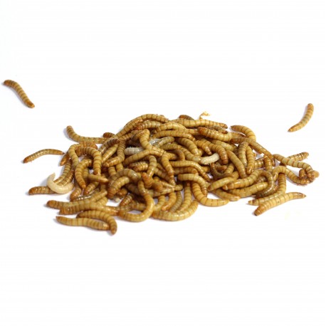 TARME DELLA FARINA 500gr.