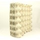 CARTONI per allevamento insetti - 10 pezzi -