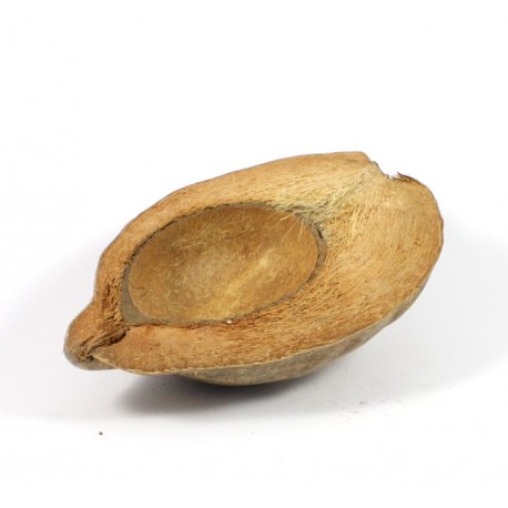 NOCE DI COCCO - META' -