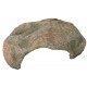 RIFUGIO PER RETTILI 24X8X17