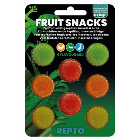 REPTO SNACK ALLA FRUTTA MIX